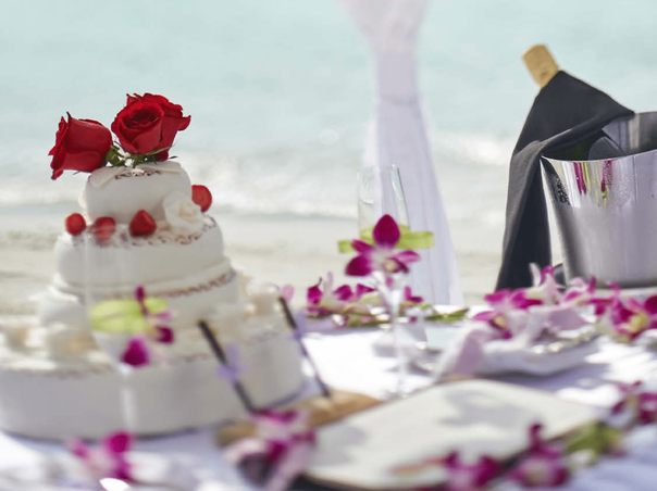 Wedding Light Package